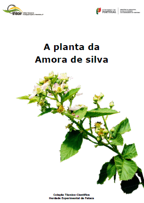 Manual técnico A Planta da amora da silva